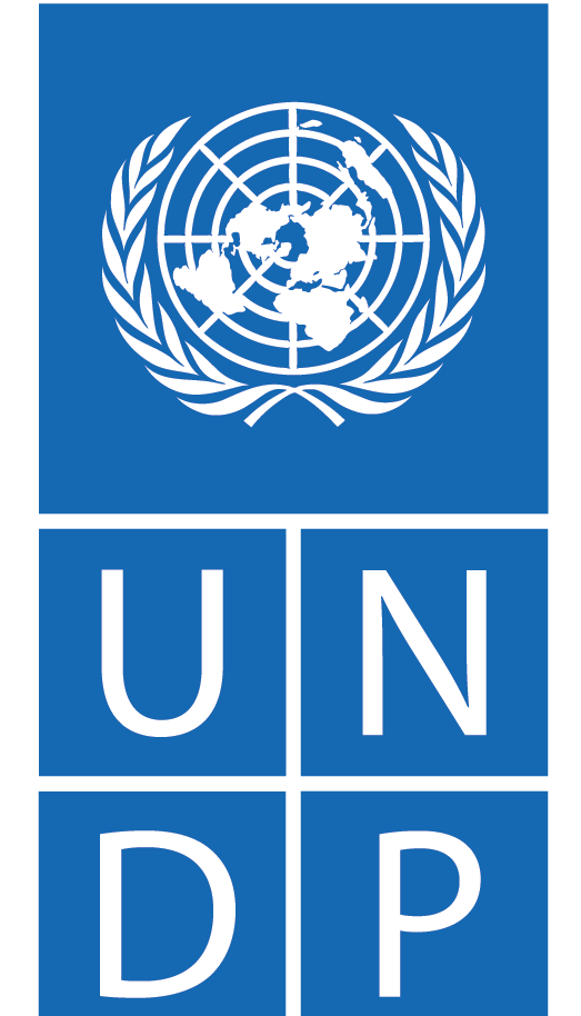 United Nations Development Programme (UNDP)
